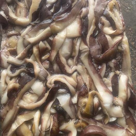 Frozen Squid Scraps skin on