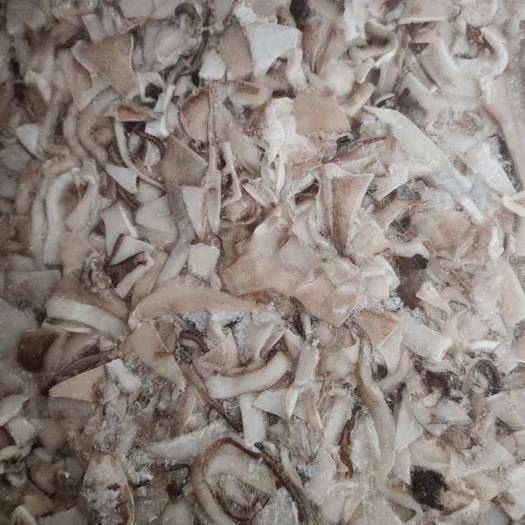 Frozen Squid Scraps skin on