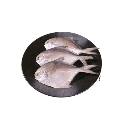 Pompano de plata congelada personalitzada