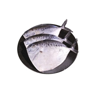 Opah congelat