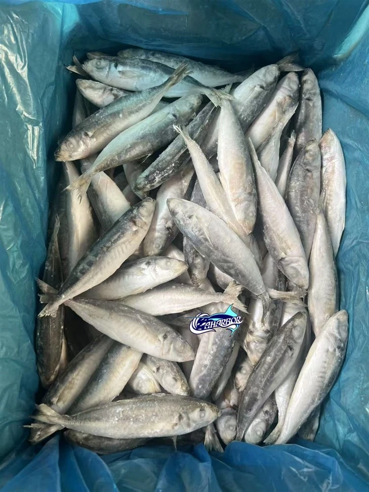 Frozen Chinese Scad