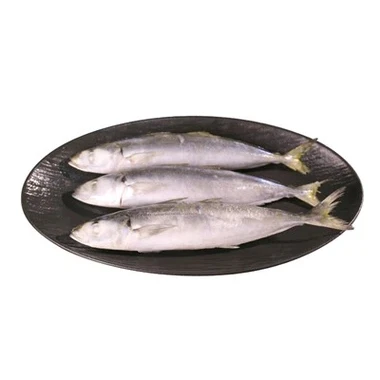 Frozen Mackerel Scad