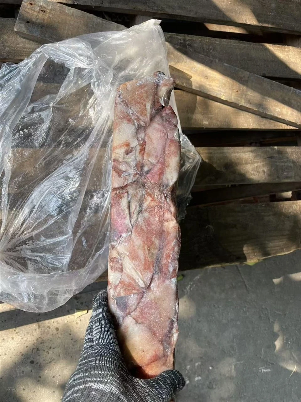 Frozen Squid Wings Skin-on