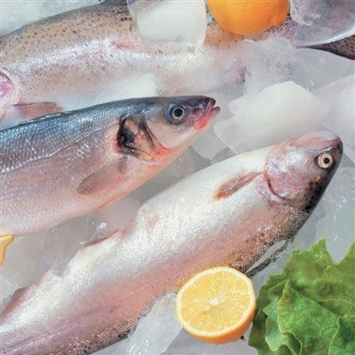 Tecnologia de congelació de marisc